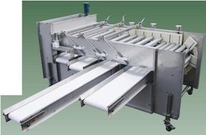 Niveleuse de taille radiale-Machine de classement de fruits et légumes - Product Image 4