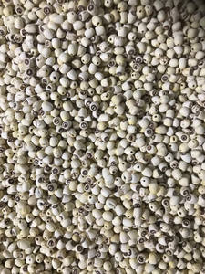 Graines de lotus séchées du Vietnam, bonne nourriture // Jolene +84 336089155 - Product Image 5