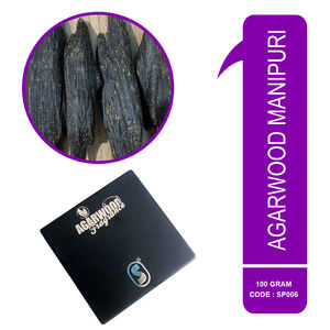 กูดพม่าคุณภาพระดับพรีเมี่ยมมีอยู่ในสต็อกของเรา - Product Image 3