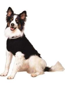 Dog Sexy <b>Pet</b> <b>Apparel</b> Dog Clothes New Style Dog Hoodie Printing <b>Accessories</b> - Product Image 3