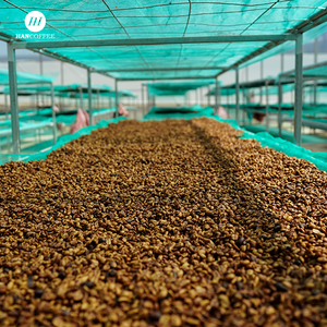 Café Molido VIETNAM HAN 100% Robusta |   Granos de café tostados enteros |   Marca Privada para Taza Filtradora - Product Image 2
