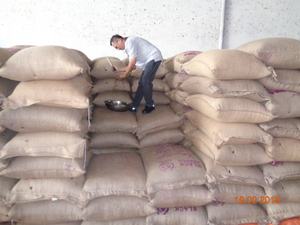 Pimienta Negra Cruda AD Seca de Buena Calidad, 50 kg, Limpiada, Asta, Exportadora Principal, Sra. Kathryn, 0084327324400 - Product Image 5