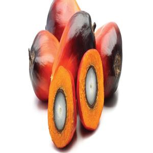 บริสุทธิ์และธรรมชาติปาล์มเมล็ดถั่ว - Product Image 2