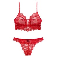 Sexy Spitzen-Bikini-Set mit Vollschalen-BH und Slip für Damen, mit Bügelunterstützung, atmungsaktiv, schnelltrocknend, umweltfreundlich, antibakteriell, tief sitzend