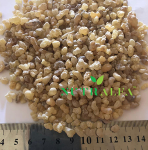 ยาง Olibanum ซูดานกำเนิดเลือกปริมาณจำนวนมากเรซิน - Product Image 4