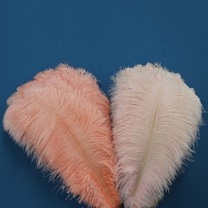 Grandes plumes d'autruche lisses de haute qualité, 25-<span class=keywords><strong>30CM</strong></span>, 1 pièce, pour garniture de plumes, différentes couleurs, bon marché, blanc, 15-75cm, vente en gros - Product Image 3