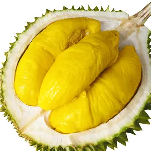Maleisië Mao Shan Wang Durian D197 Musang Koning Hele Durian Fruit