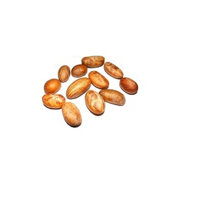 Frais de Noix de Kola Avec Le Meilleur Prix - Product Image 3