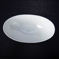Bol de service ovale irrégulier en porcelaine blanche écologique, personnalisé par l'usine Shengjing pour la restauration et le stockage de salades