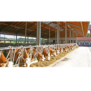 Stalla Prefabbricata per <span class=keywords><strong>Mucche</strong></span>, Edificio Agricolo, Capannone per Pecore, Stalla per <span class=keywords><strong>Mucche</strong></span> da Latte a Basso Costo - Product Image 5