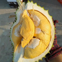 Verse Vietnamese Durian Monthong Fruit - Premium Kwaliteit Natuurlijke Zoete Smaak