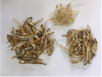 BEST SALES SUNDRIED ANCHOVY/DRIED FISH From VIETNAM PIECE CAN-TINNED 15KG VETDELTA