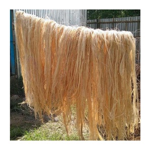 Machine d'extraction de fibres de banane blanche/marron pour le filage/textile et l'artisanat - Product Image 3