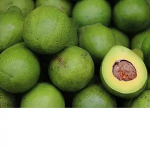 Manufacture liefern günstige Fresh Avocado Hass Avocado in Vietnam / Ms. Nary + 84 976 592 207