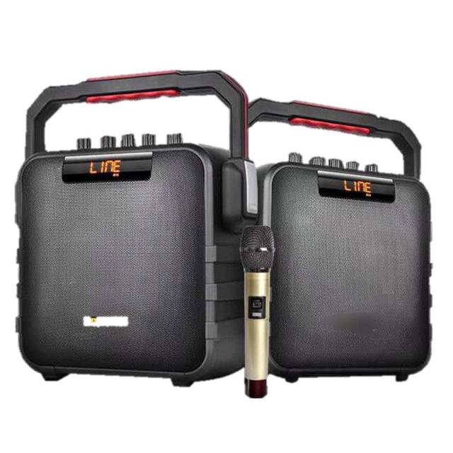 TEMEISHENG PT-5A High Quality Karaoke bluetooth Trolley Party Speaker Box With Microphone