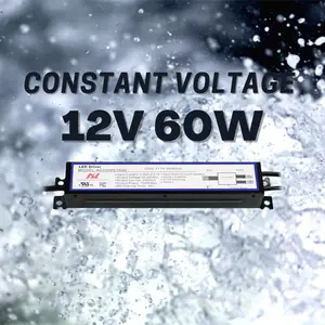 Cổ Điển 60 Watt LED Cung Cấp Điện 12V DC Đầu Ra