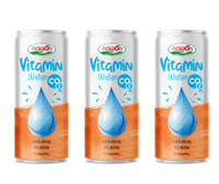 Eau vitaminée pétillante sans sucre saveur grenade 250ml Marque Blanche Fabricant Export en gros Vietnam