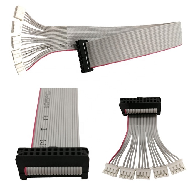 Double 2*2 3 4 5 6 7 8 9 10 11 12 13 14 15 16 20 25 or 30 32 40 Pin Idc to Jst Wire Harness and Ribbon Cable
