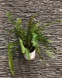 Pots suspendus en Satin blanc utilisés avec des fleurs et des plantes vertes ou des plantes artificielles le support de Pot de fleurs de haute qualité CV LW 100 - Product Image 2