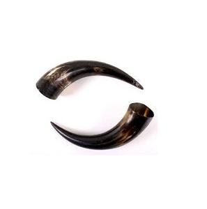 Cuernos de Vaca Crudos de Calidad en Venta a Precio Económico, Producto en Oferta, Par de Cuernos Naturales y Pulidos - Product Image 4