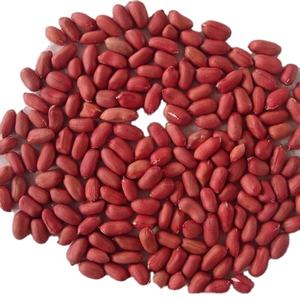 Günstiger Preis Jumbo Size Blanched Peanuts Kernels - Product Image 3