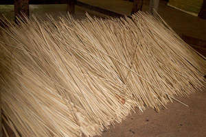 Vietnam Coconut Broom Stick- Cheapest Broom Coconut Stick([Ws0084587176063] - Product Image 5