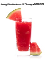 Hete Verkoop Watermeloenpuree Drink Sap Verse Stijl Goede Prijs Herkomst Vietnam