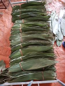 Feuilles de bambou brutes, écologiques, bon prix - Product Image 4