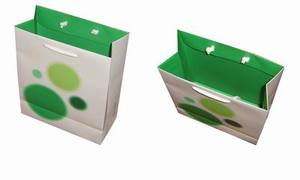 ถุงกระดาษคราฟท์พิซซ่า/ถุงกระดาษแป้ง/ถุงกระดาษข้าว - Product Image 3