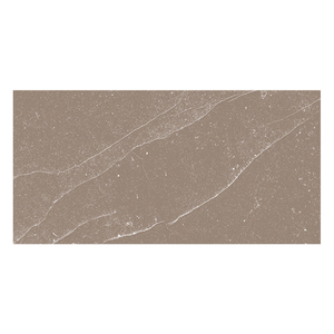 Azulejos de Pared de Porcelana de Diseño Rústico de 400x800 mm, Textura de Flores y Plantas, Acabado Mate, Resistentes al Ácido, Antibacterianos y Antideslizantes - Product Image 1