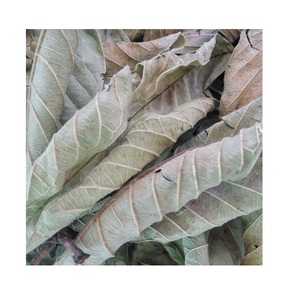 ใบฝรั่งแห้งคุณภาพสูง ราคาดี ขายส่ง ใบฝรั่งสีเขียว ขายดีที่สุดจากเวียดนาม 99 โกลด์ ดาต้า - Product Image 2