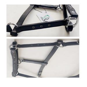 Licol pour cheval en cuir anglais de haute qualité, style western, couleur personnalisable, durable, portable, avec accessoires en laiton et en nylon - Product Image 2