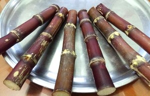 ¡La mejor calidad de caña de azúcar Stick/caña de azúcar a apriete agua de Viet Nam(Ms! Lee: + 84987731263) - Product Image 3