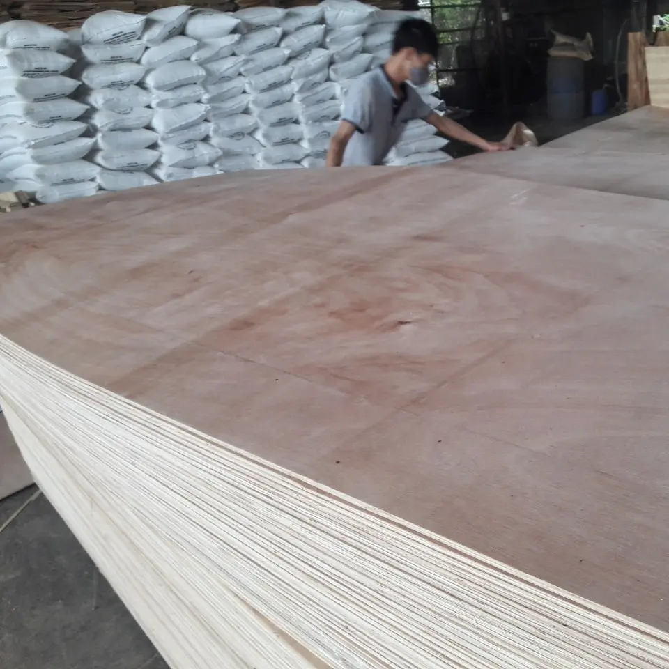 Bintangor Face Plywood Factory price Packing plywood from 2mm for Malaysia market