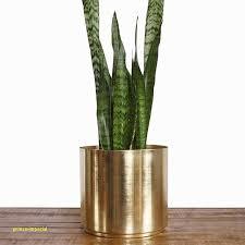 Macetas doradas con soporte, macetas con soportes de Metal, decoración para sala de estar, precio más bajo - Product Image 4