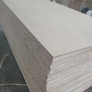 AA AB grade unit 1220mm x 2440mm x 4-21mm White face BIRCH face KERUING face BEST price PACKING PLYWOOD