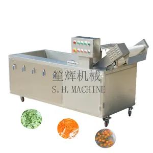 Automatic ozone vegetable washing machine fruit cleaner air bubble sauerkraut pickles cleaning equipment mango washer