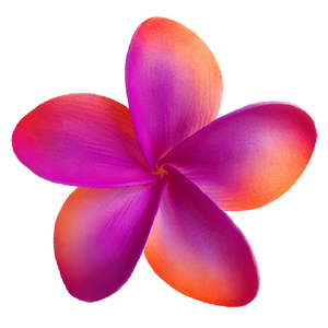 แฟชั่นทำด้วยมือลีลาวดีลีลาวดีดอกไม้โฟม EVA วัสดุโฟม - Product Image 2