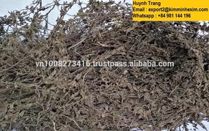 Herba Mesonae Chinensis puro natural seco salvaje de Vietnam con sabor afrutado para la industria de bebidas de gelatina - Product Image 2