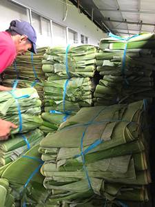 Lá chuối đông lạnh dùng để phục vụ món ăn từ Việt Nam - Product Image 5