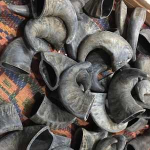 Corne de buffle d'eau de meilleure qualité pour chien à mâcher directement de l'usine de corne d'agneau Inde WA + 91 9675995272 - Product Image 1