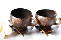 Gobelet en coque de noix de coco écologique - Gobelet à café artisanal en noix de coco - Gobelet en coque de noix de coco naturelle [Ws0084587176063] 99 Gold Data