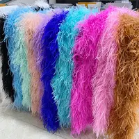 Dyed Ostrich Feather Boa, Trimming, Fluffy, Party, Festival