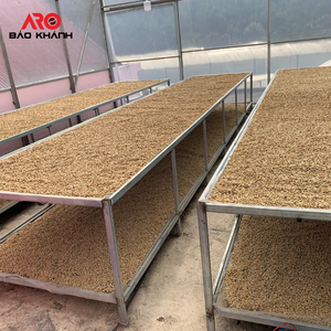 Robusta S16ของกาแฟทุนใน Buon Ma Thuot ประเทศเวียดนาม,น้ำผึ้งแปรรูป - Product Image 4