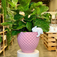 Pot de fleurs en ciment, bon marché, pour orchidées, fait à la main, bon marché, bonne qualité, finition naturelle
