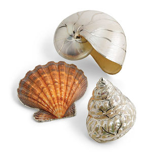 Conchas marinas para decoración y manualidades, alta calidad, 99GD - Product Image 6