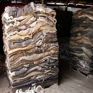 Wet Salted Cow Hides For Sale
