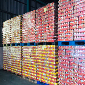 JOJONAVI Jus Durian de 330ml, jus de fruits et légumes concentré OEM ODM, fabricant de boissons sans sucre ajouté - Product Image 4