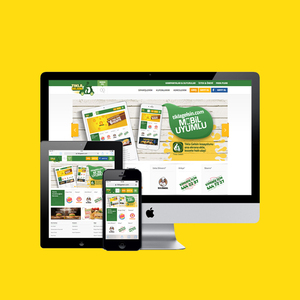 บริษัทออกแบบและพัฒนาเว็บไซต์ที่ตอบสนองต่อด้านบนในอินเดีย | บริการพัฒนาเว็บไซต์ที่ได้รับรางวัลโดยWebroot Infosoft - Product Image 4