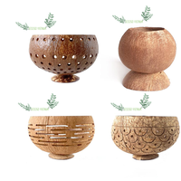 Pot Tanaman dari Kulit Kelapa Alami Ramah Lingkungan Eco2go Vietnam, Produk Terlaris dengan Logo Laser Terukir untuk Rumah & Taman